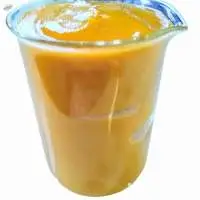 Totapuri Mango Concentrate