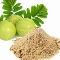 amla powder