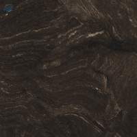 Ceramic Floor Tile (Alyans Black)