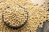 Soybeans