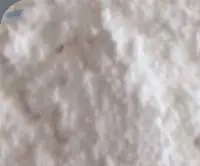 Dehydrated White Onion Powder