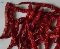 Red Chilli