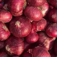 Onion