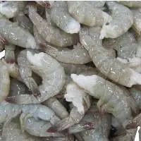 Frozen Vannamei Shrimp HLSO