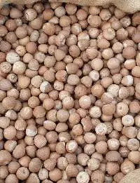 Betel Nut Whole 