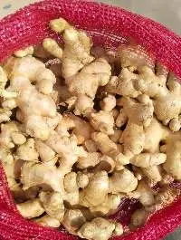 Fresh Ginger | Washed | Grade: Various 