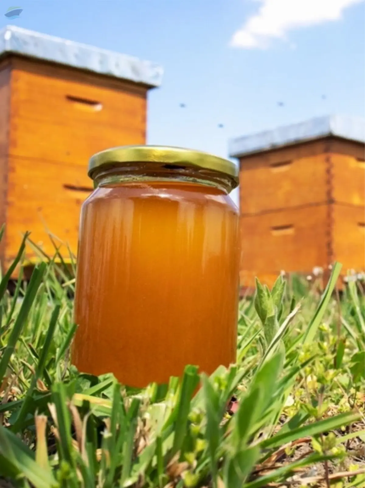 Natural Honey
