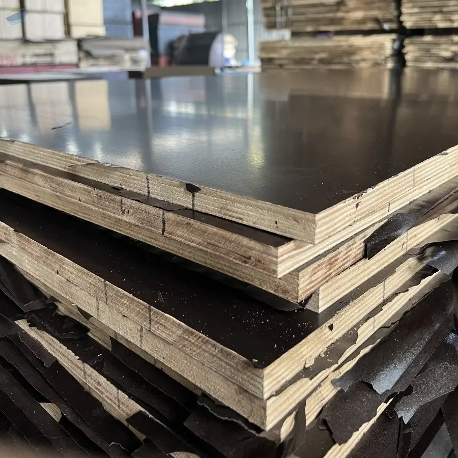 Film Faced Plywood Eucalyptus Core