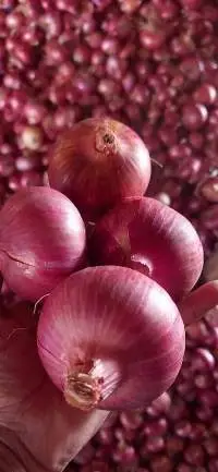 Fresh Red Onion