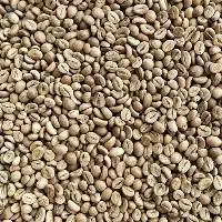 Fine Robusta Coffee
