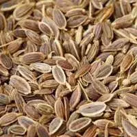 Dill Seed