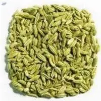 Fennel Seed