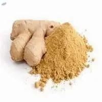Ginger Powder