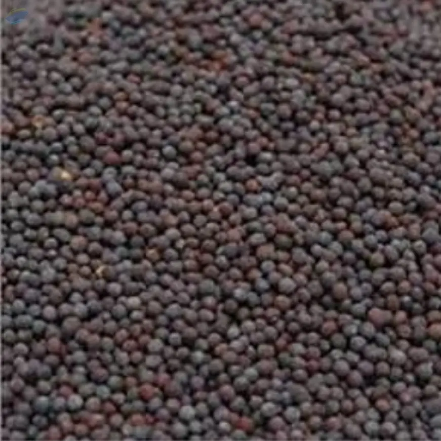 Black Mustard Seed