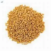 Yellow Mustard Seed