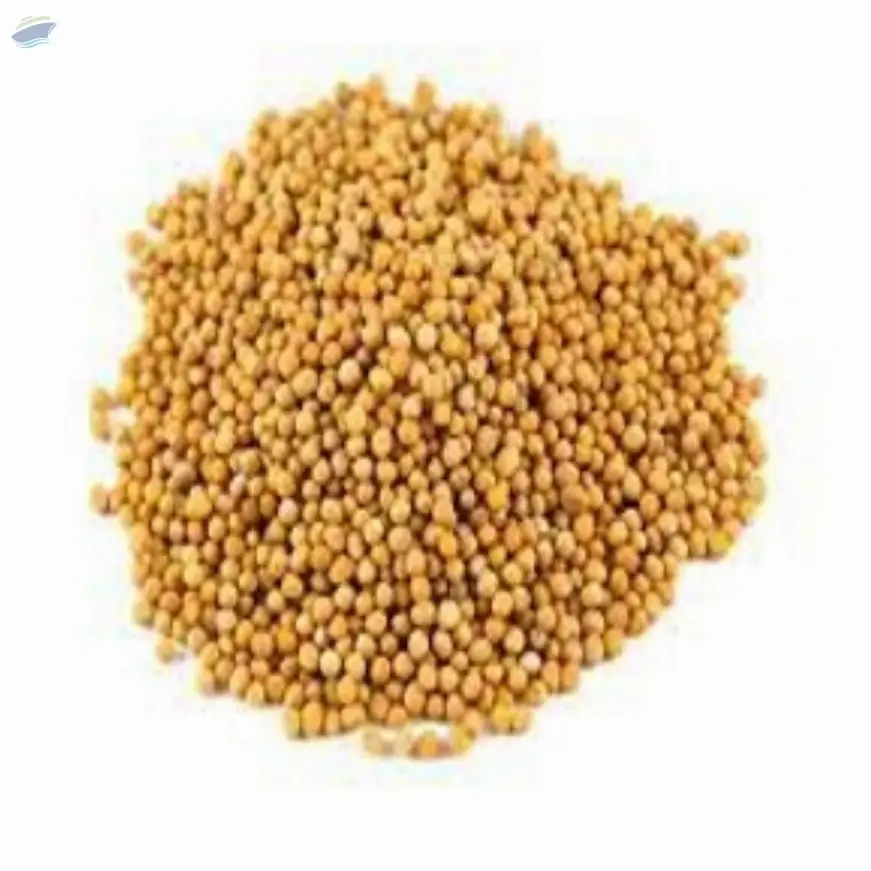 Yellow Mustard Seed