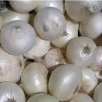 Nashik White Onion