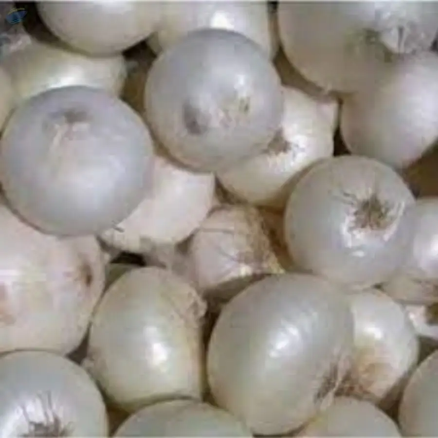 Nashik White Onion