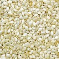 Sesame Seed