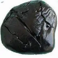 Sudh Shilajeet