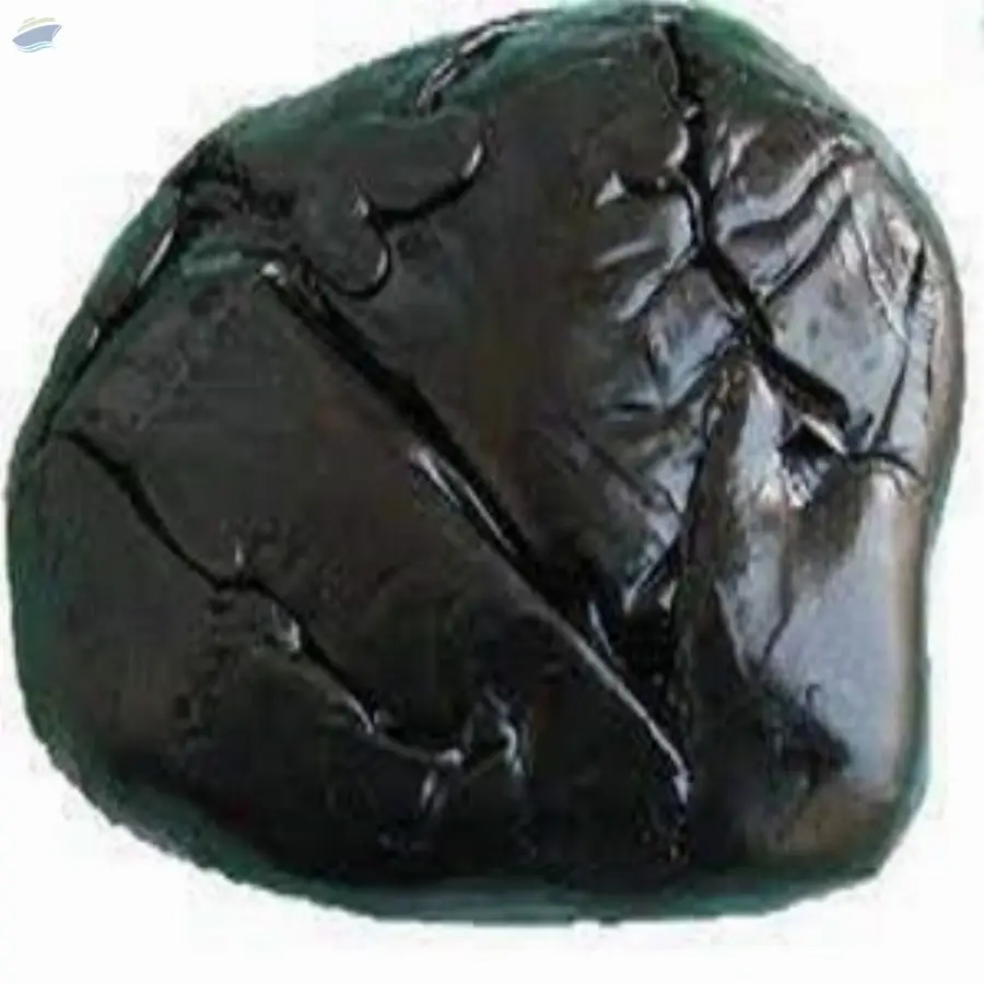 Sudh Shilajeet
