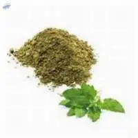 Tulsi Powder