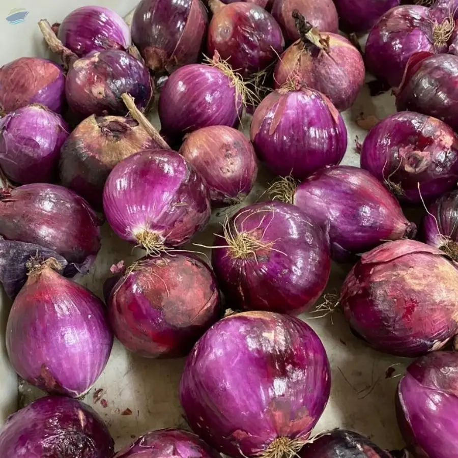 Red Onions