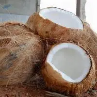 Semi Husked Coconut