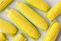 Corn