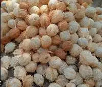 Husked, Semi Husked, and Desiccated Coconut