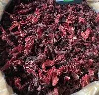 Hibiscus Flower