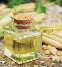 Lemongrass Oil