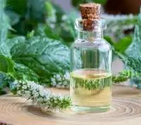 Peppermint Oil
