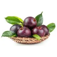 Kokum Butter