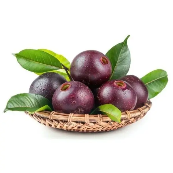 Kokum Butter