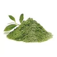 Bacopa Dry Extract