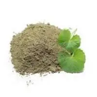 Brahmi Dry Extract