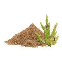 Caralluma Dry Extract