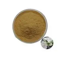 Chameli Dry Extract