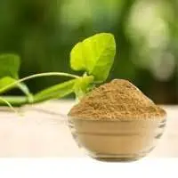 Chhadila Dry Extract