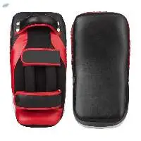 Paou Thai Boxing Mitt