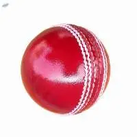 Cricket Ball
