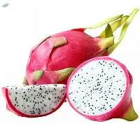 Dragon Fruit