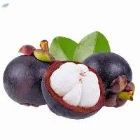 Mangosteen