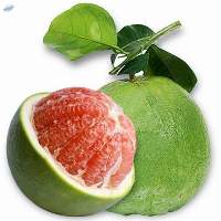 Pomelo