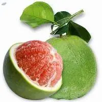 Pomelo