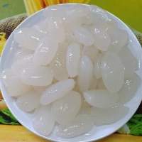 Raw Palm Nut