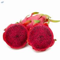 Red Dragon Fruit