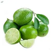 Seedless Lime
