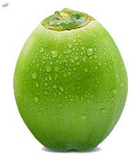 Tender Coconut
